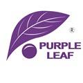 Purple Leaf  Coupons