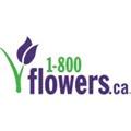 1800Flowers Canada  Coupons