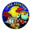 Lincs Aquatics  Vouchers