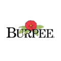 Burpee  Coupons