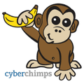 CyberChimps  Coupons