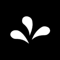 Fontspring  Coupons