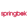 Springbok Puzzles coupons